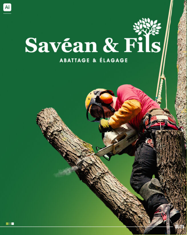 Logo Savéan & Fils